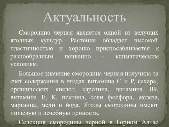 Смородина черная является одной из ведущих ягодных культур. Растение обладает высокой