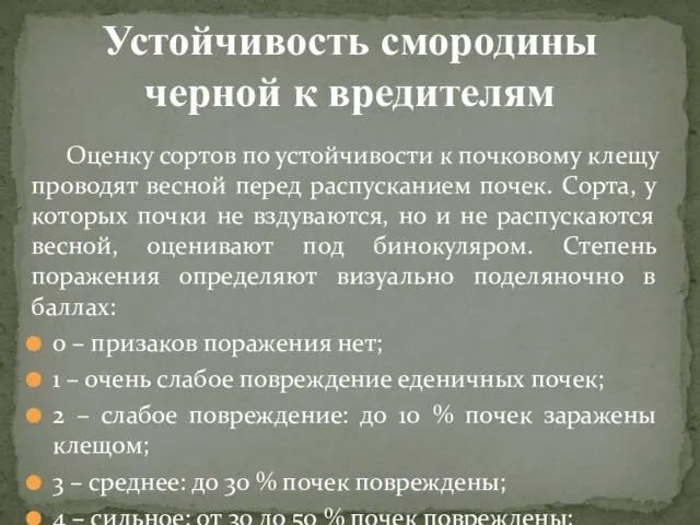 Оценку сортов по устойчивости к почковому клещу проводят весной перед распусканием