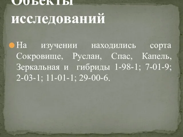 На изучении находились сорта Сокровище, Руслан, Спас, Капель, Зеркальная и гибриды