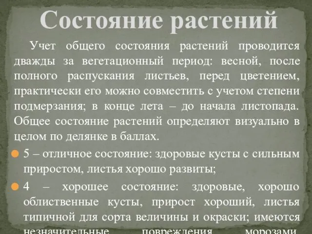 Учет общего состояния растений проводится дважды за вегетационный период: весной, после