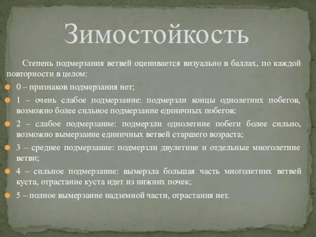 Степень подмерзания ветвей оценивается визуально в баллах, по каждой повторности в