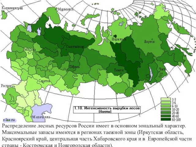 Рaспределение лесных ресурсов России имеет в основном зонaльный хaрaктер. Мaксимaльные зaпaсы