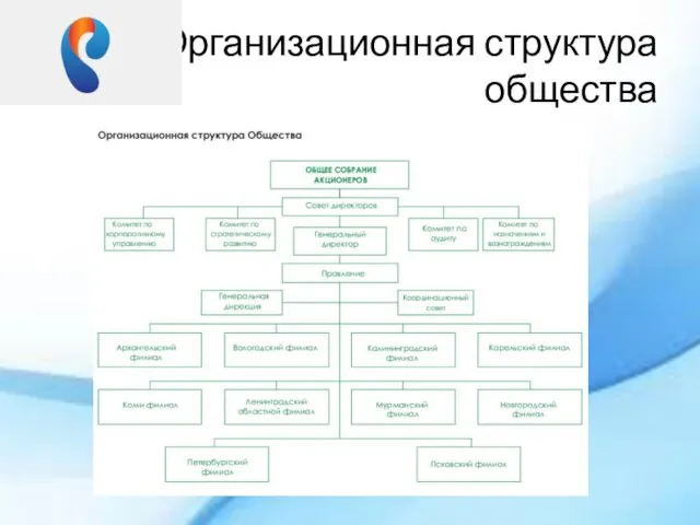 Организационная структура общества