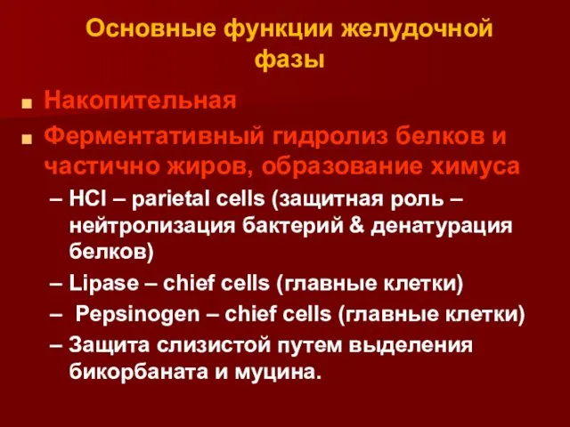 Основные функции желудочной фазы Накопительная Ферментативный гидролиз белков и частично жиров,