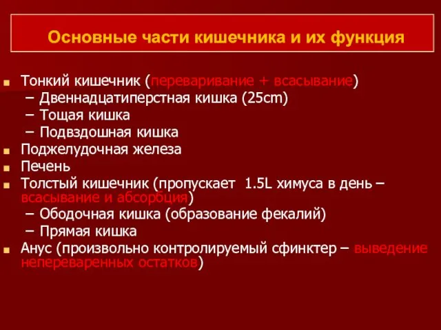 Основные части кишечника и их функция Тонкий кишечник (переваривание + всасывание)