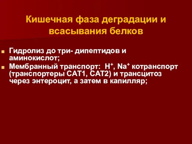 Гидролиз до три- дипептидов и аминокислот; Мембранный транспорт: H+, Na+ котранспорт