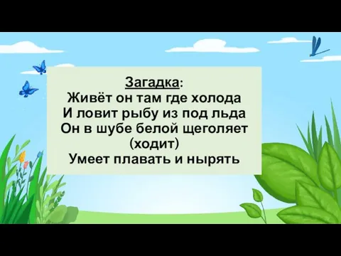 Загадка: Живёт он там где холода И ловит рыбу из под