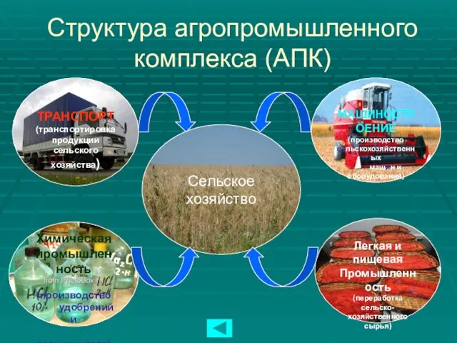 Структура агропромышленного комплекса (АПК) Сельское хозяйство ТРАНСПОРТ (транспортировка продукции сельского хозяйства)
