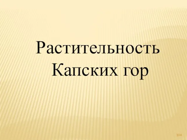 Растительность Капских гор