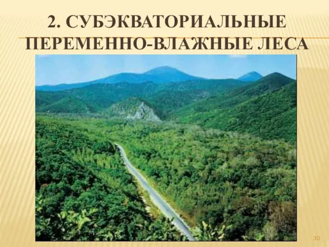 2. СУБЭКВАТОРИАЛЬНЫЕ ПЕРЕМЕННО-ВЛАЖНЫЕ ЛЕСА