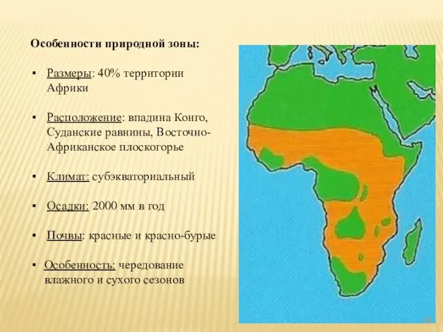 Особенности природной зоны: Размеры: 40% территории Африки Расположение: впадина Конго, Суданские