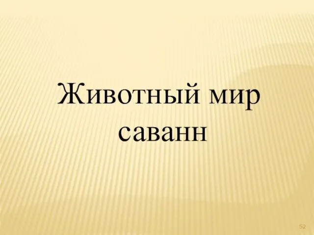 Животный мир саванн