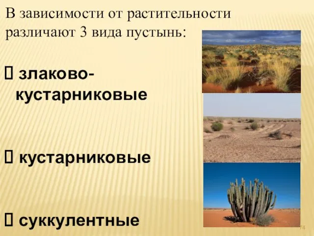 В зависимости от растительности различают 3 вида пустынь: злаково-кустарниковые кустарниковые суккулентные