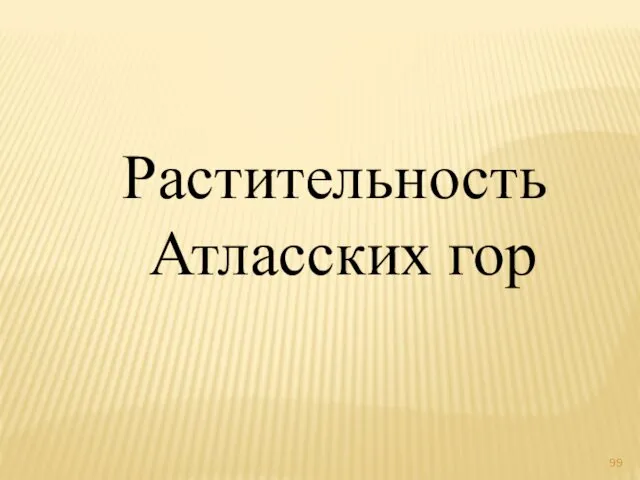 Растительность Атласских гор