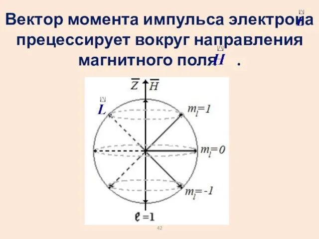 Вектор момента импульса электрона прецессирует вокруг направления магнитного поля .