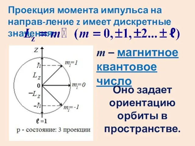 Проекция момента импульса на направ-ление z имеет дискретные значения: m –