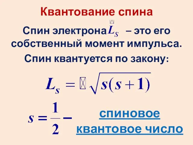 Квантование спина Спин электрона – это его собственный момент импульса. Спин