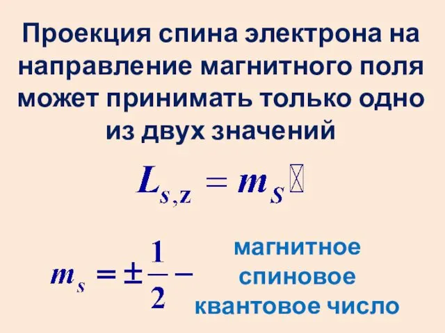 Проекция спина электрона на направление магнитного поля может принимать только одно