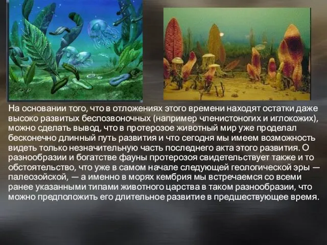 На основании того, что в отложениях этого времени находят остатки даже