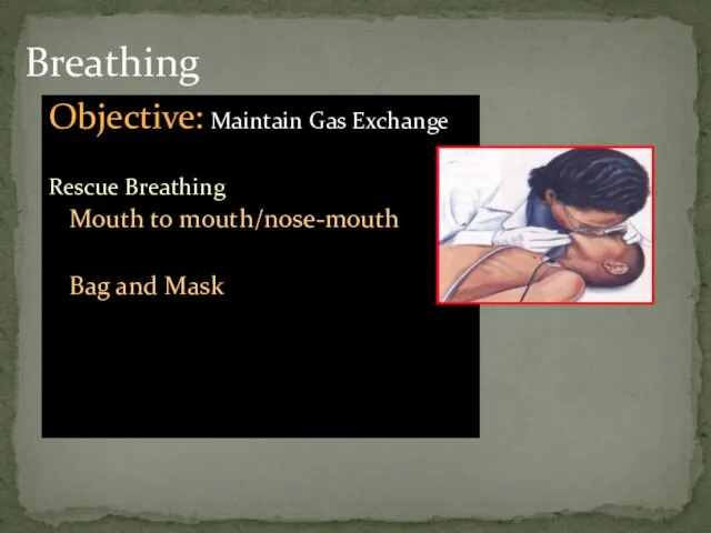 Breathing Objective: Maintain Gas Exchange Rescue Breathing Mouth to mouth/nose-mouth Bag and Mask