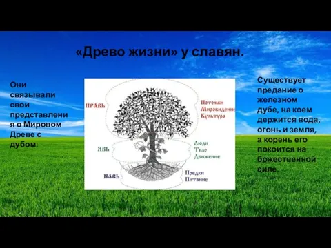 «Древо жизни» у славян. Они связывали свои представления о Мировом Древе