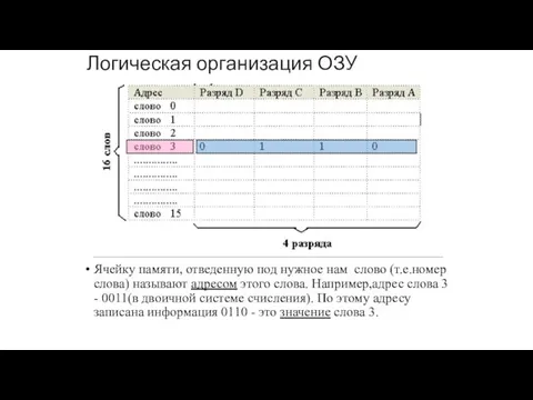 Логическая организация ОЗУ Ячейку памяти, отведенную под нужное нам слово (т.е.номер