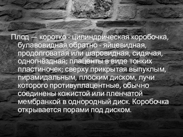 Плод — коротко - цилиндрическая коробочка, булавовидная,обратно - яйцевидная, продолговатая или