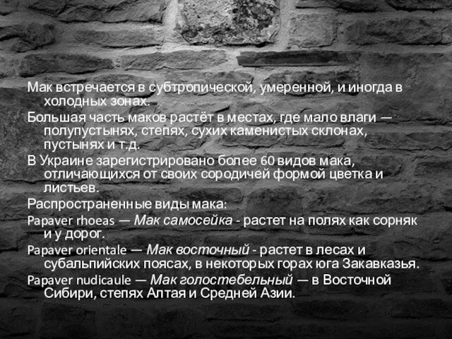 Мак встречается в субтропической, умеренной, и иногда в холодных зонах. Большая