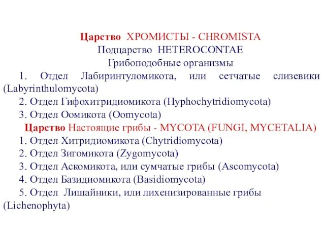 Царство ХРОМИСТЫ - CHROMISTA Подцарство HETEROCONTAE Грибоподобные организмы 1. Отдел Лабиринтуломикота,