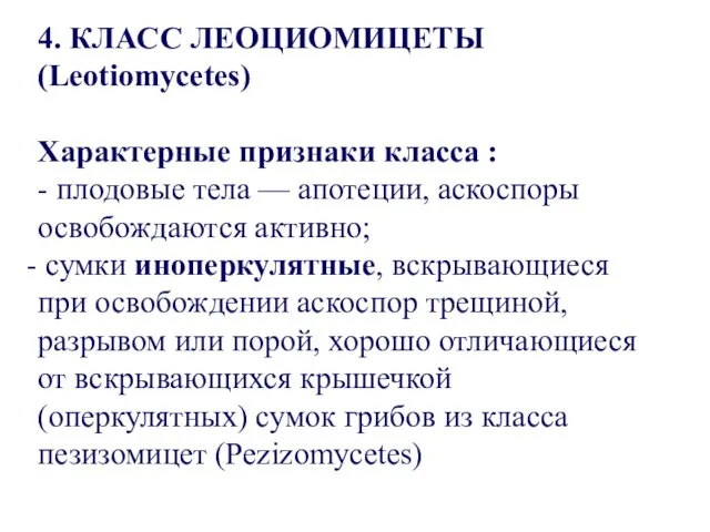 4. КЛАСС ЛЕОЦИОМИЦЕТЫ (Leotiomycetes) Характерные признаки класса : - плодовые тела