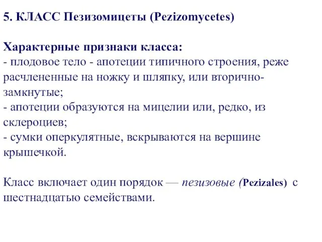 5. КЛАСС Пезизомицеты (Pezizomycetes) Характерные признаки класса: - плодовое тело -