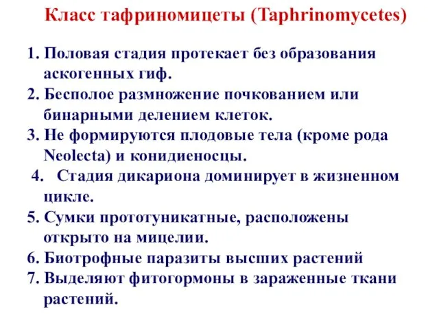 1. Половая стадия протекает без образования аскогенных гиф. 2. Бесполое размножение