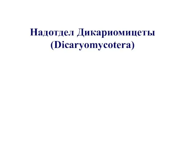 Надотдел Дикариомицеты (Dicaryomycotera)