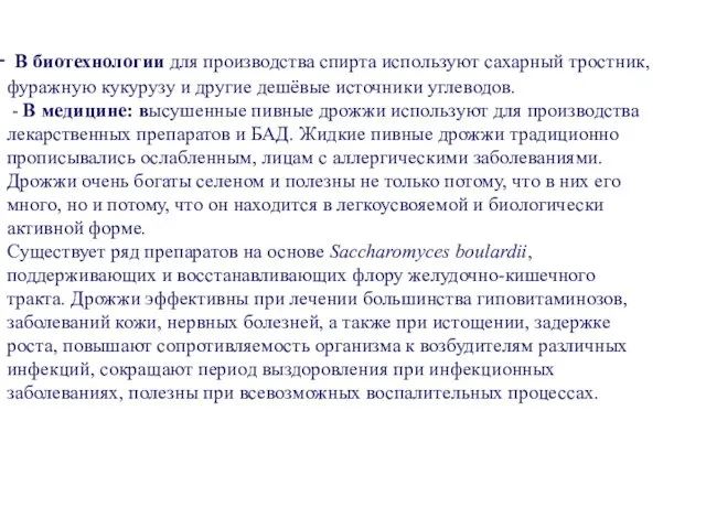 В биотехнологии для производства спирта используют сахарный тростник, фуражную кукурузу и