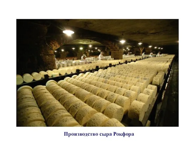 Производство сыра Рокфора