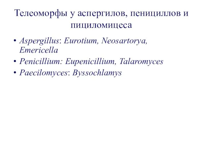 Телеоморфы у аспергилов, пенициллов и пициломицеса Aspergillus: Eurotium, Neosartorya, Emericella Penicillium: Eupenicillium, Talaromyces Paecilomyces: Byssochlamys