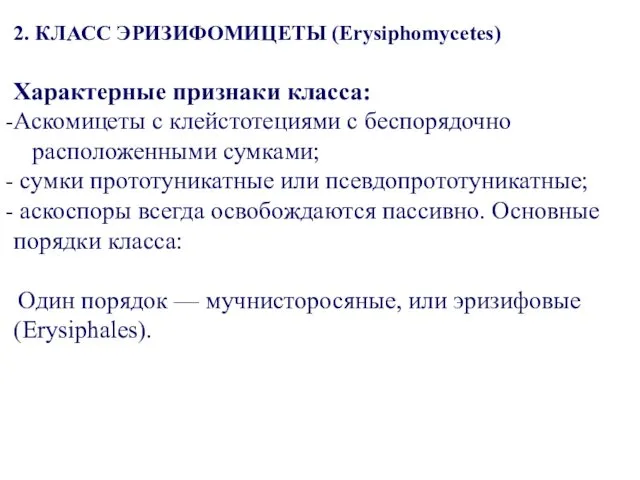 2. КЛАСС ЭРИЗИФОМИЦЕТЫ (Erysiphomycetes) Характерные признаки класса: Аскомицеты с клейстотециями с