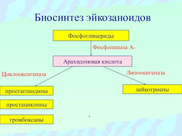 Биосинтез эйкозаноидов Фосфоглицериды Арахидоновая кислота тромбоксаны простациклины простагландины лейкотриены Фосфолипаза А2 Циклооксигеназа Липоокигеназа