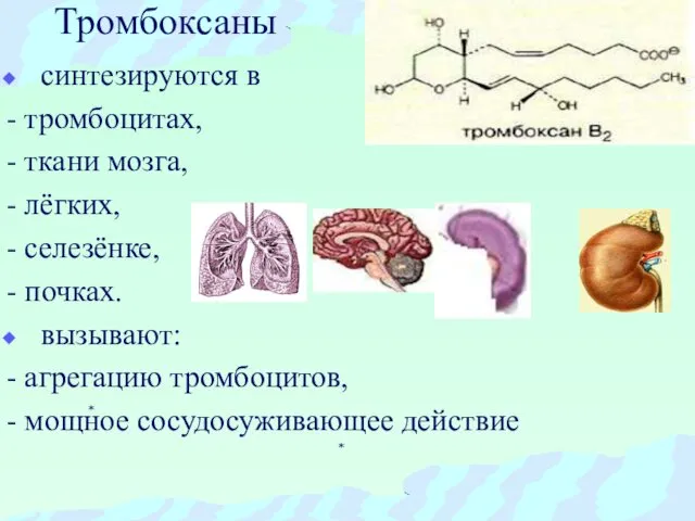 Тромбоксаны синтезируются в - тромбоцитах, - ткани мозга, - лёгких, -