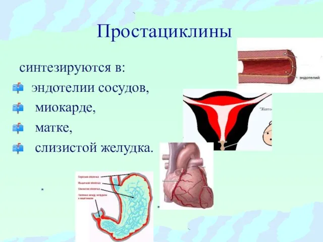 Простациклины синтезируются в: эндотелии сосудов, миокарде, матке, слизистой желудка.