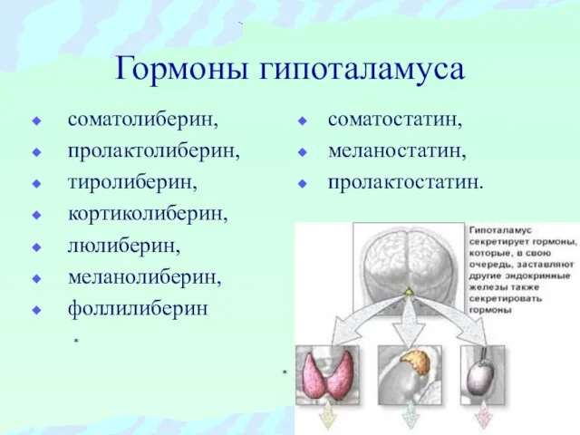 Гормоны гипоталамуса соматолиберин, пролактолиберин, тиролиберин, кортиколиберин, люлиберин, меланолиберин, фоллилиберин соматостатин, меланостатин, пролактостатин.