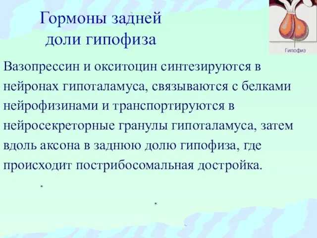 Вазопрессин и окситоцин синтезируются в нейронах гипоталамуса, связываются с белками нейрофизинами