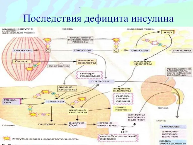 Последствия дефицита инсулина