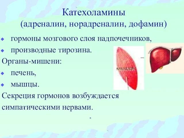 Катехоламины (адреналин, норадреналин, дофамин) гормоны мозгового слоя надпочечников, производные тирозина. Органы-мишени: