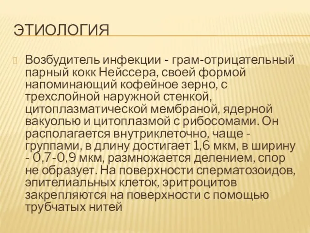 ЭТИОЛОГИЯ Возбудитель инфекции - грам-отрицательный парный кокк Нейссера, своей формой напоминающий