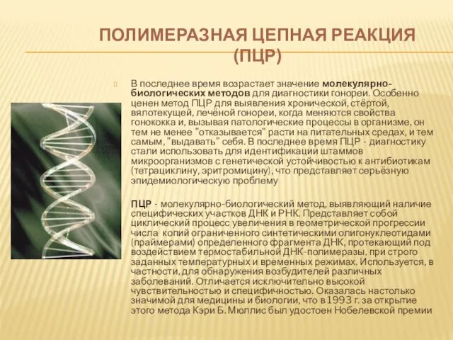 ПОЛИМЕРАЗНАЯ ЦЕПНАЯ РЕАКЦИЯ (ПЦР) В последнее время возрастает значение молекулярно-биологических методов