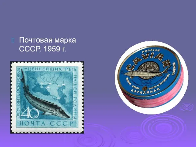 Почтовая марка СССР. 1959 г.