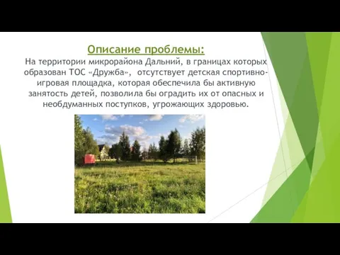 Описание проблемы: На территории микрорайона Дальний, в границах которых образован ТОС