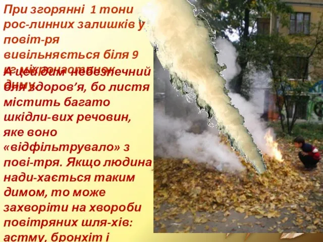 При згорянні 1 тони рос-линних залишків у повіт-ря вивільняється біля 9