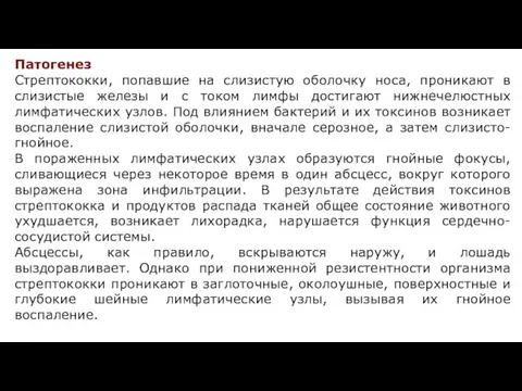 Патогенез Стрептококки, попавшие на слизистую оболочку носа, проникают в слизистые железы